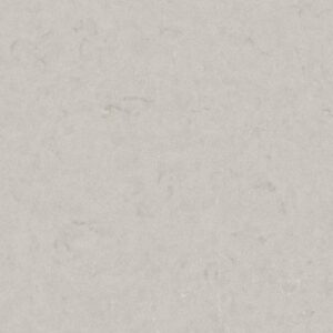 Motion Grey