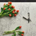 caesarstone 5043 montblanc 2