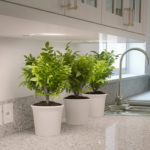 caesarstone 6270 atlanticsalt 2